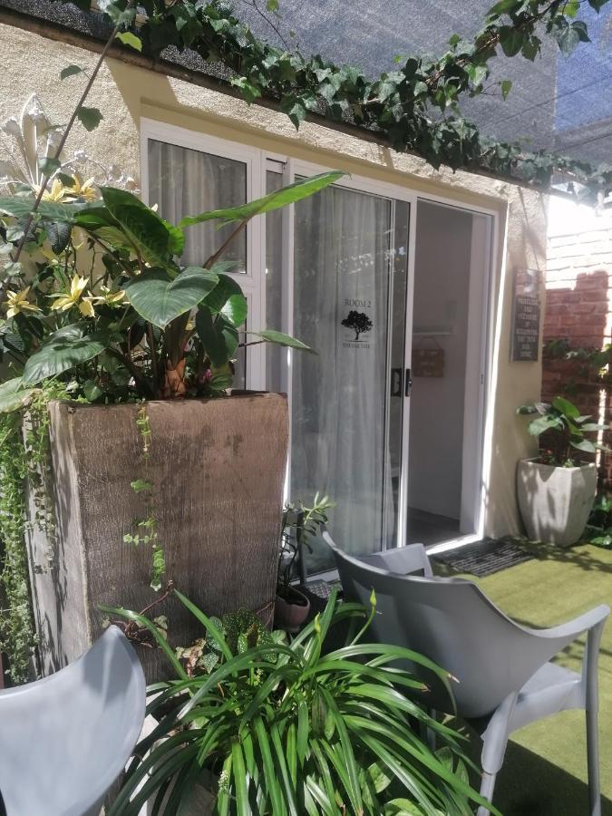 The Oak Treehouse Bnb クイーンズタウン エクステリア 写真